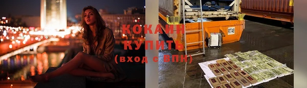 сатива Галич