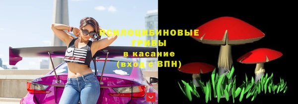 сатива Нязепетровск