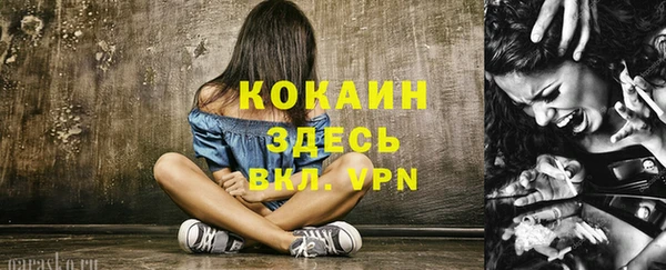 дмт Няндома
