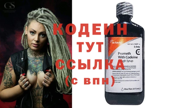 индика Ельня