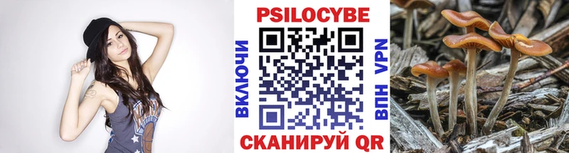 Галлюциногенные грибы Psilocybe  Мирный 