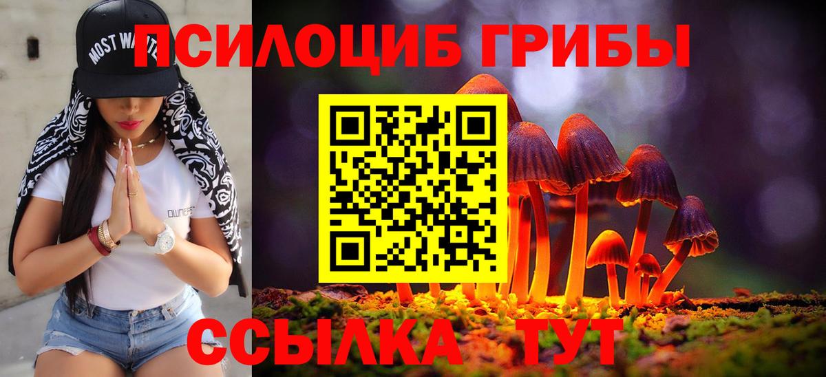Галлюциногенные грибы мицелий Мирный