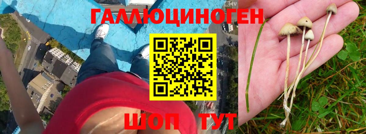 Галлюциногенные грибы мухоморы  наркота  Мирный  Вход с VPN 